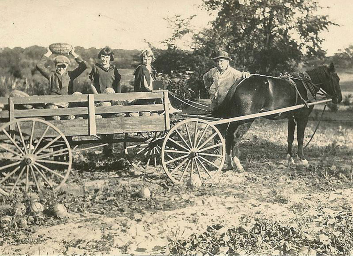 Family owned and Farmed since 1922