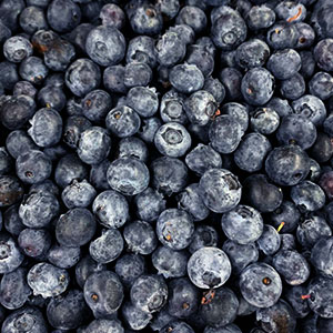 Blueberries July 1 - July 31