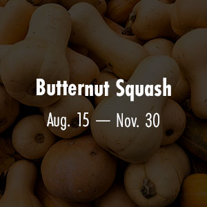 Butternut Squash Aug 15 - Nov 30
