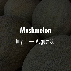 Melon July 1 - Aug 31