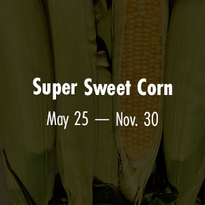 Sweet Corn May 25 - Nov 30