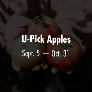 Apples Sept 5 - Oct 31