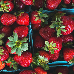 Harvest Strawberries
